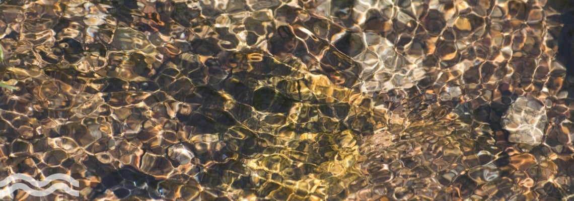Shallow water 