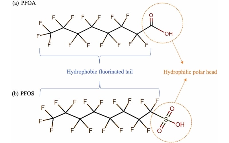 Diagrams showing the hydrophilic nature of PFAS and PFOA
