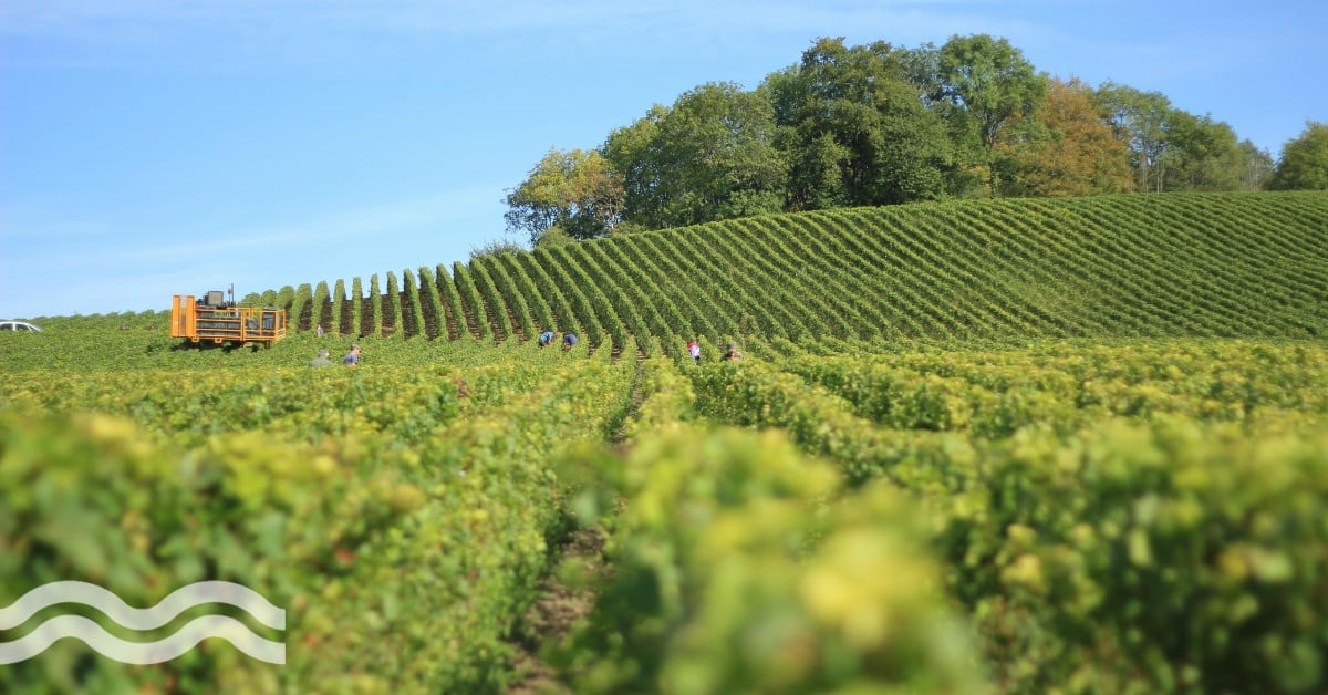 Water reuse – a “concrete and ambitious” response to drought in France