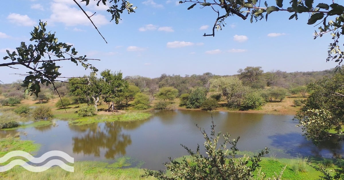 Tackling water management challenges in river basins with AI