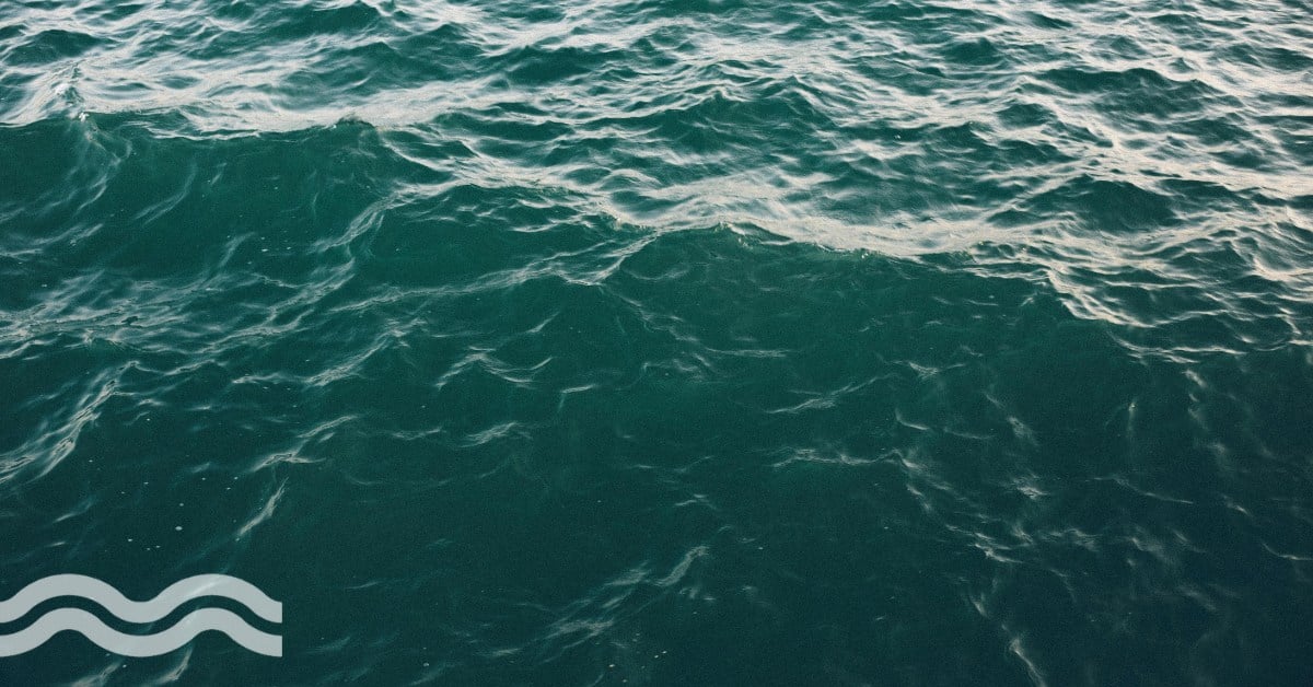 Electrically charged membranes scale smarter