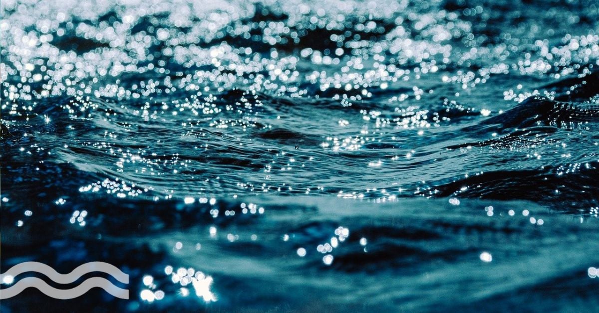 The 12 most-read stories in 2025