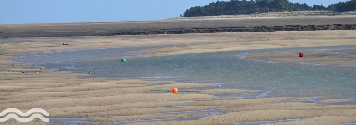 AQD-uk-desalination-norfolk-1140x400px 