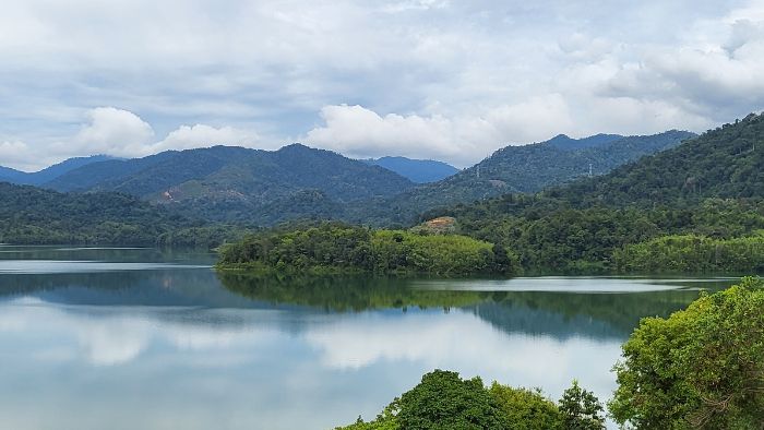 AQD-landscape-in-selangor-700x394