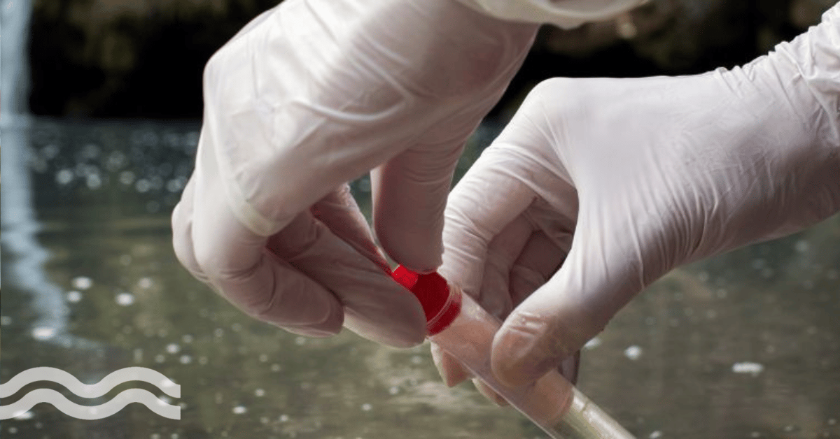 Funding fuels on-site pathogen detection expansion