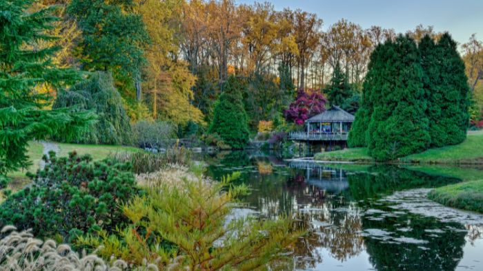 AQDa-fall-sunset-in-brookside-700x384px