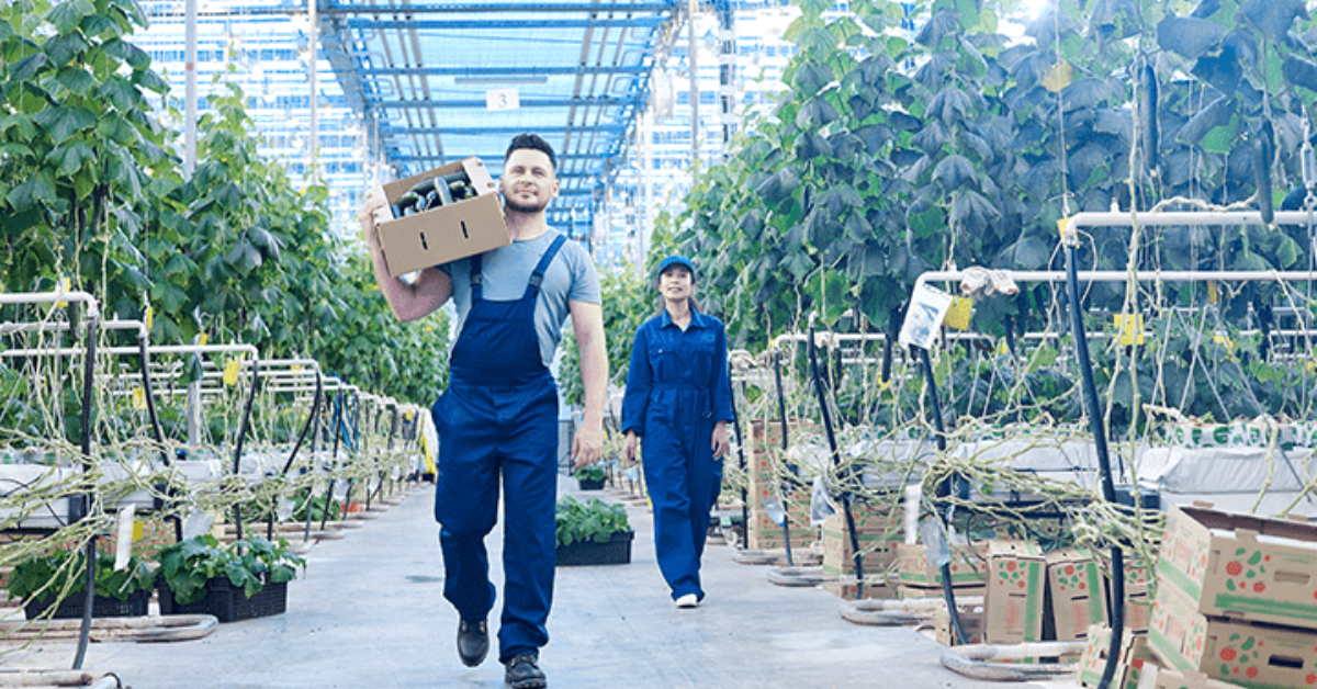 Desafíos del mercado laboral a nivel global