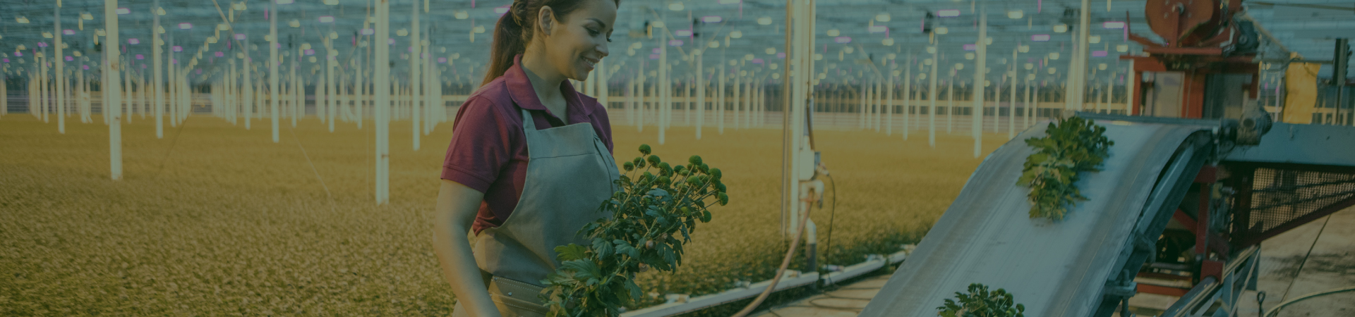 banner-<h1 style="text-align: center;">GreenTech Americas<br />
25 - 26 - 27 Marzo 2025<br />
Quer&eacute;taro Centro de Congresos, QRO, Mexico</h1>