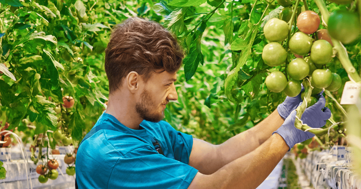 8 reasons why greenhouse leaders started with autonomous growing