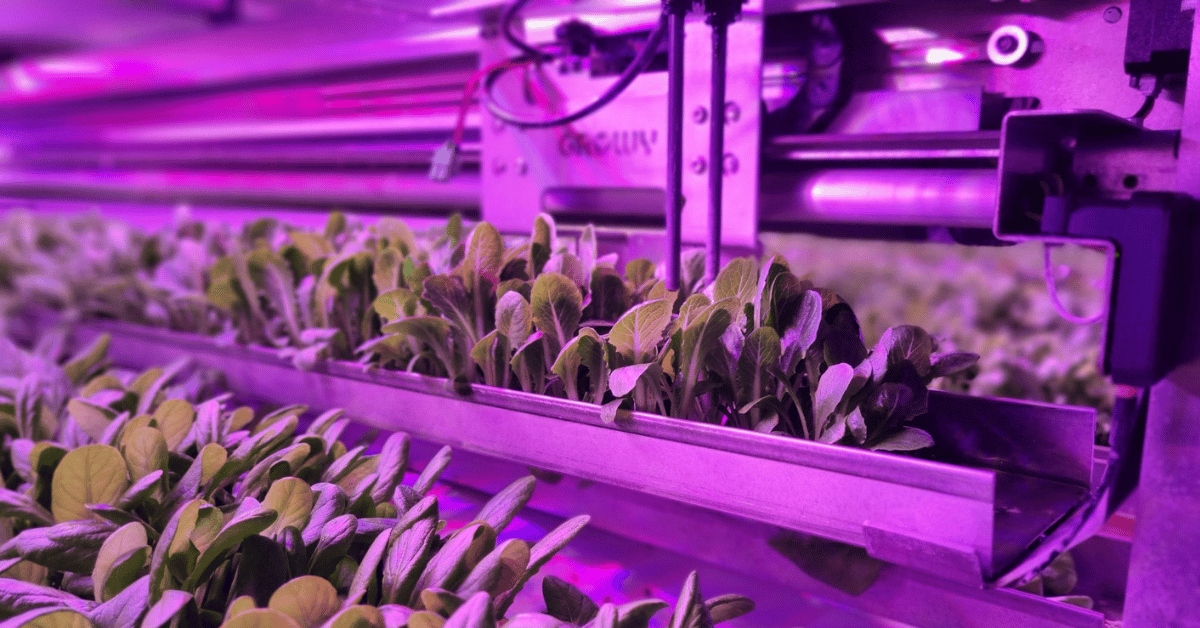 'Biobased underscores our relevance in society'