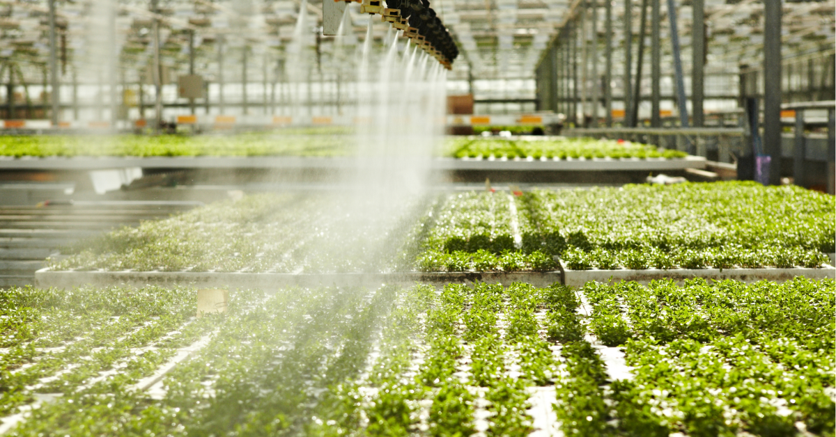 Agua – “Capturar, proteger, utilizar”