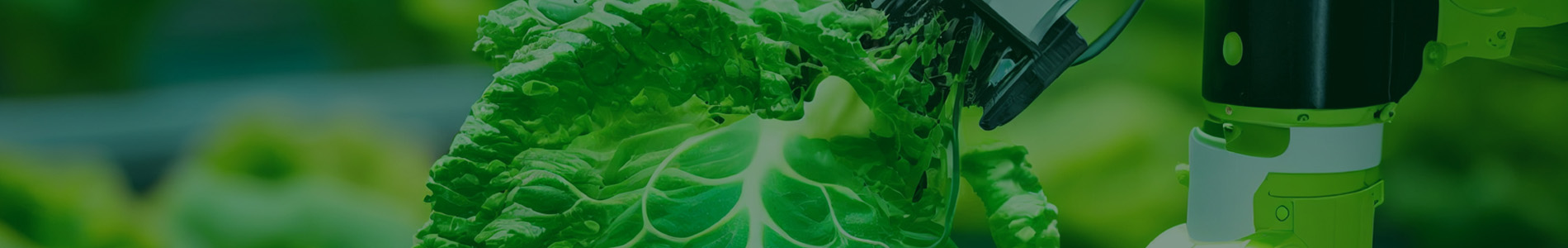 banner-<div class="ck-content">
<h1 style="text-align:center;">GREENTECH AMSTERDAM<br />
GreenTech Amsterdam 2025
</h1>
</div>