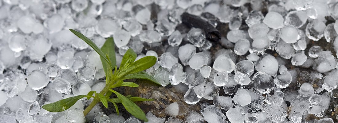 Automated protection against the increasing risk of extreme weather