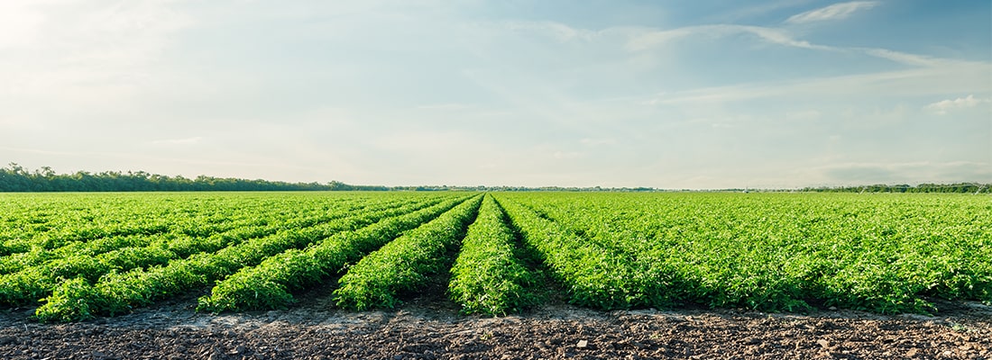 GRT-2017-quality-crops-1100x400