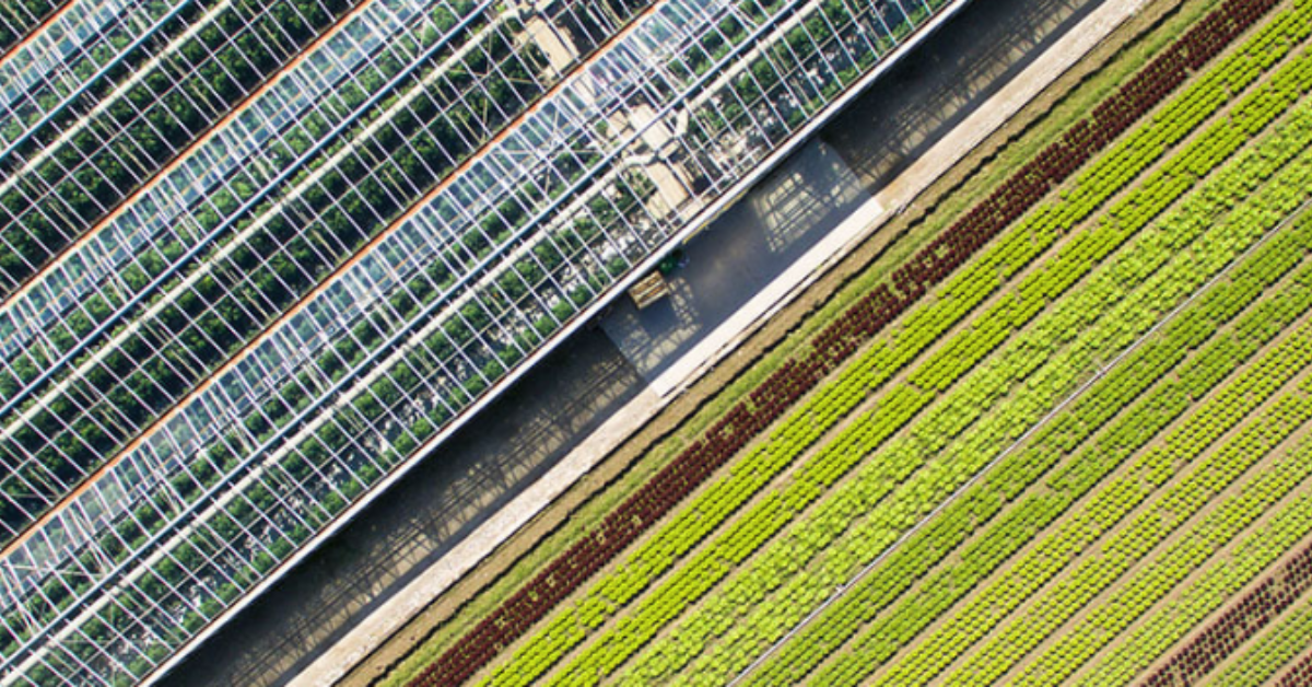 grd-climate-1100x400