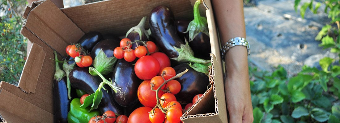 we-could-but-right-now-we-cant-consumers-controlling-the-worlds-shift-to-organics