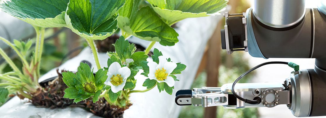 the-polish-find-a-top-place-within-the-global-horticulture-technology-market
