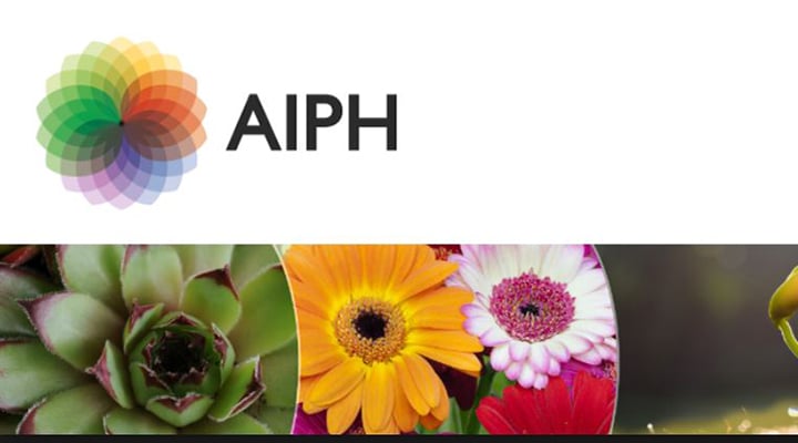 GRT_AIPH_720x400