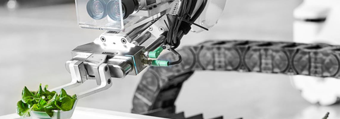 robots-in-the-greenhouse-no-human-labour-needed-for-the-vegetables-of-the-future