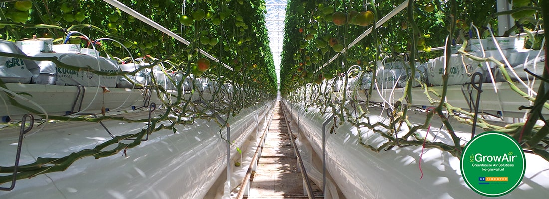 An optimal growth climate regardless of location and climatic conditions
