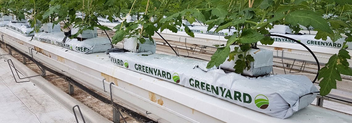 sustainable-and-resilient-cultivation-on-organic-substrates