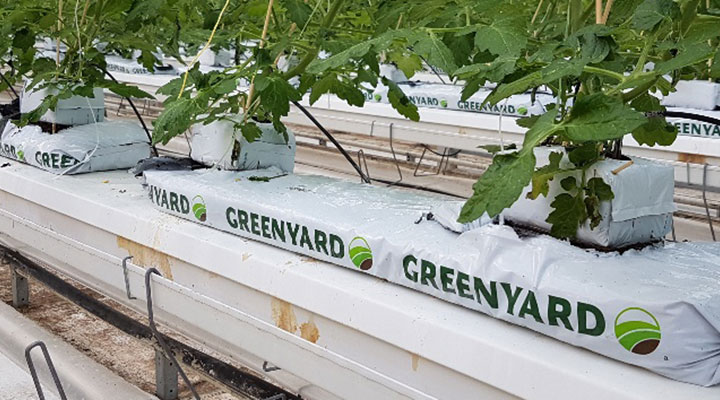 sustainable-and-resilient-cultivation-on-organic-substrates