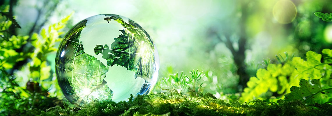 Caring and sharing circularity in horticulture