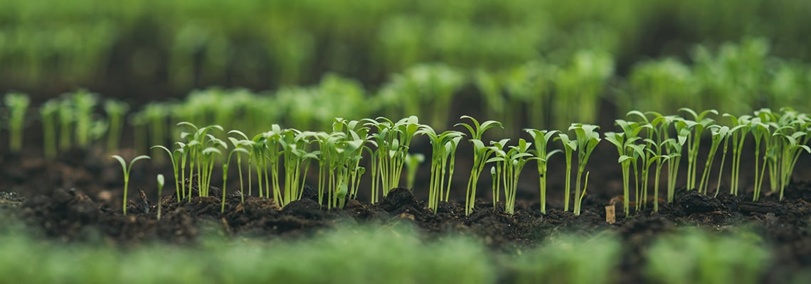 Changing views on nutrition