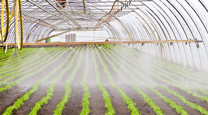 Will corona change perspective on autonomous cultivation?