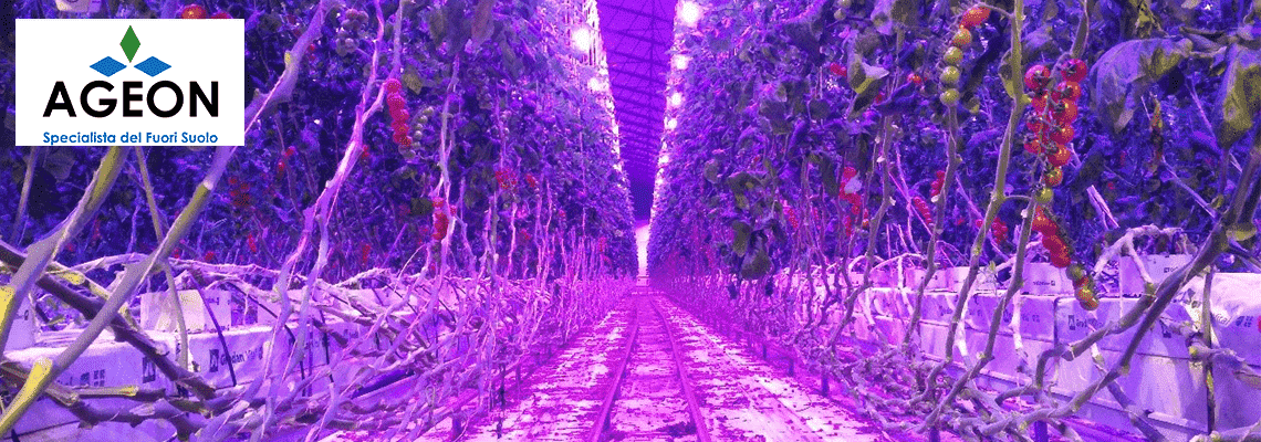 How are Italian growers facing the Coronavirus pandemic?