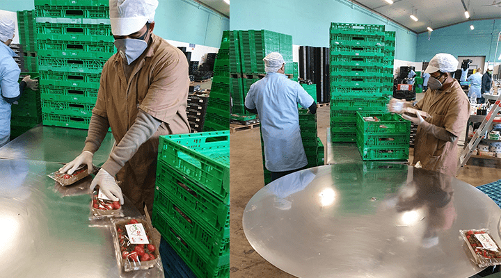 How are Italian growers facing the Coronavirus pandemic?