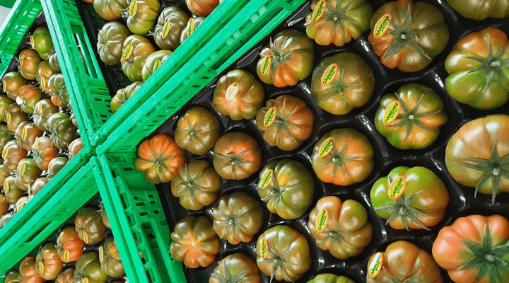 How are Italian growers facing the Coronavirus pandemic?