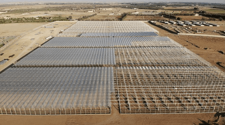 How Agrikol deals with the Coronavirus impact | Q and A