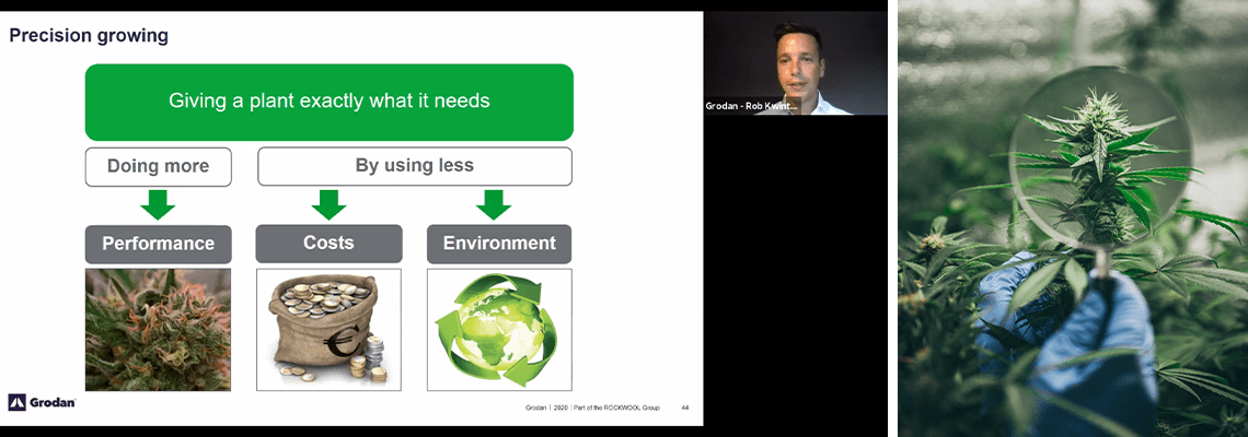 Webinar recording: Insights into growing & optimising medicinal cannabis
