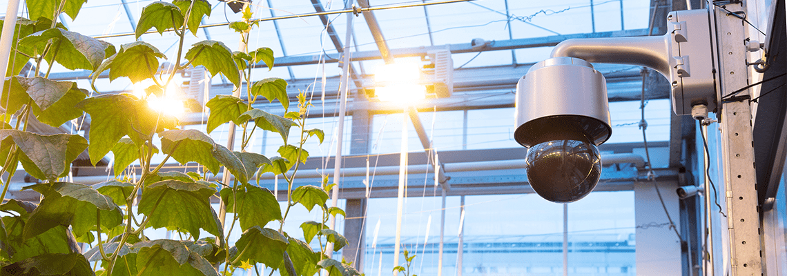 Will corona change perspective on autonomous cultivation?