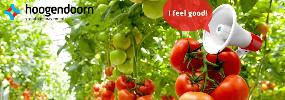 How Hoogendoorn Growth Management deals with the Coronavirus impact | Q and A
