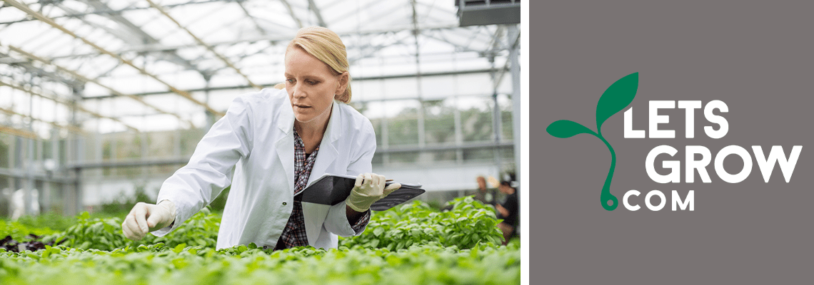 How can you make your greenhouse data work? | LetsGrow.com