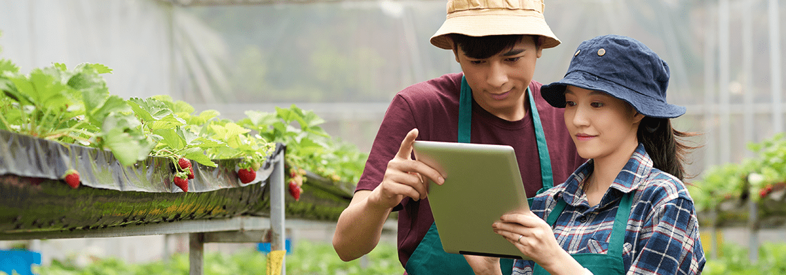 Labour shortage | attracting young people into the soft fruit sector