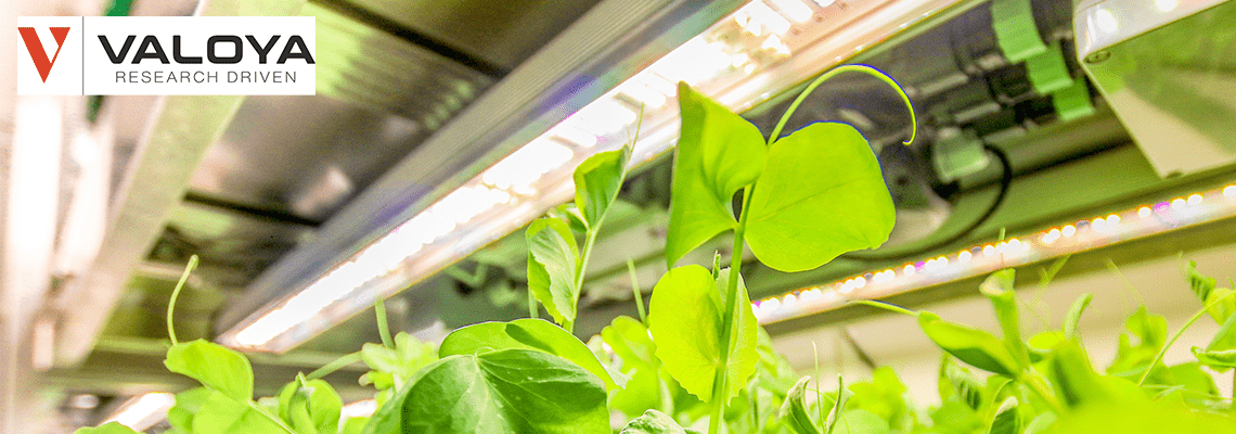 How Valoya deals with the Coronavirus impact | Q and A