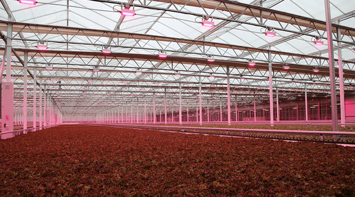green automation q and a