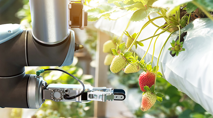 Will corona change perspective on autonomous cultivation?