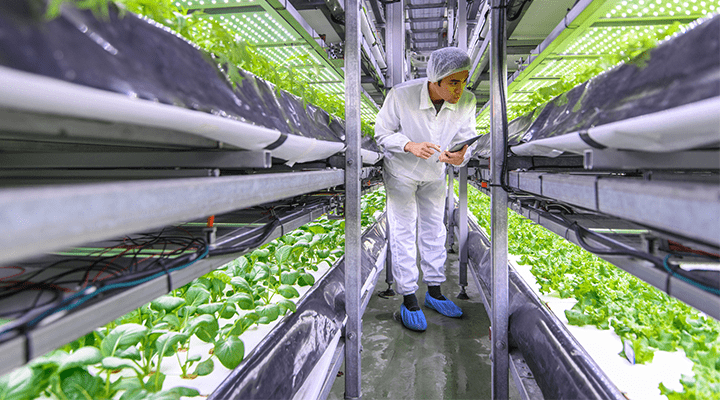 Covid-19 crisis and horticulture opportunities in the UAE