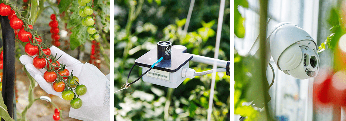 Winner Autonomous Greenhouse Challenge to be announced during webinar