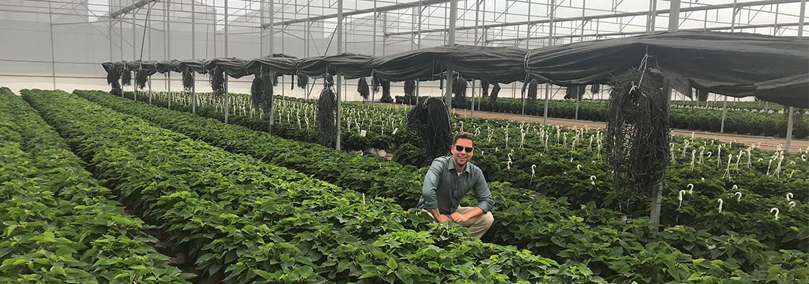 knowledge-is-transforming-mexican-horticulture