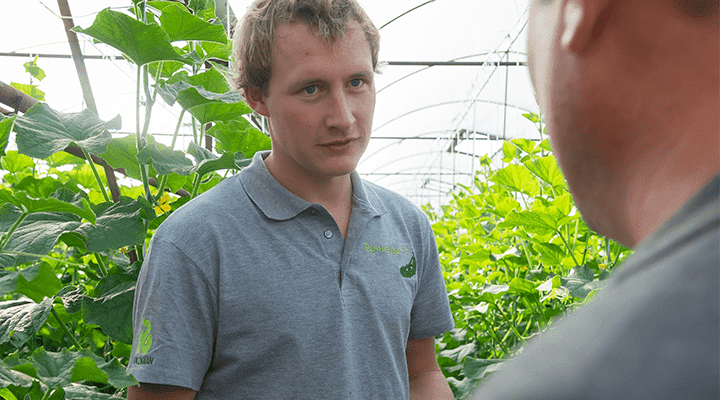 Finding talent will be a problem in vegetables