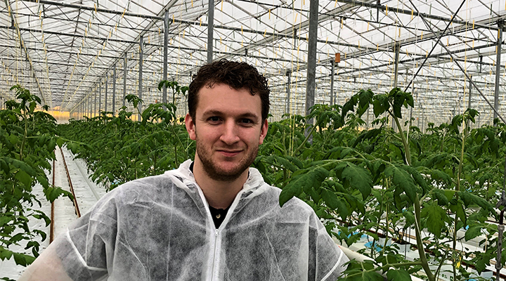 Finding talent will be a problem in vegetables