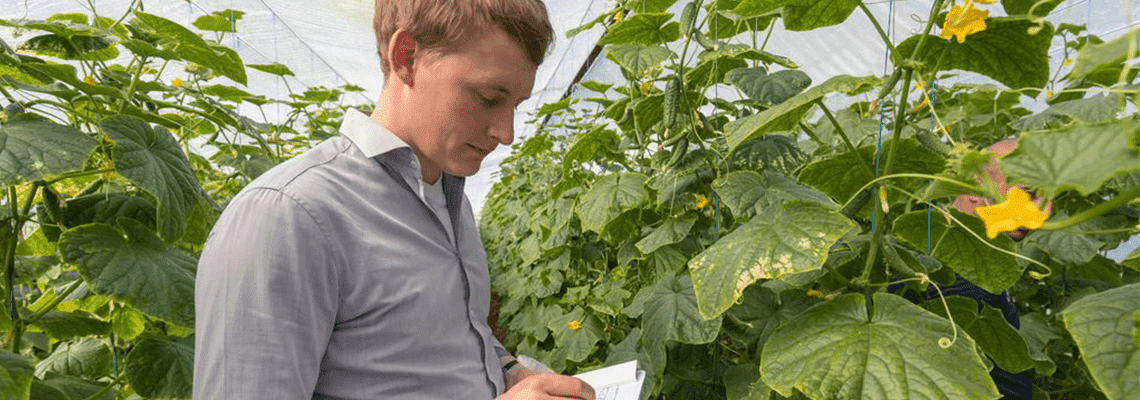 Finding talent will be a problem in vegetables