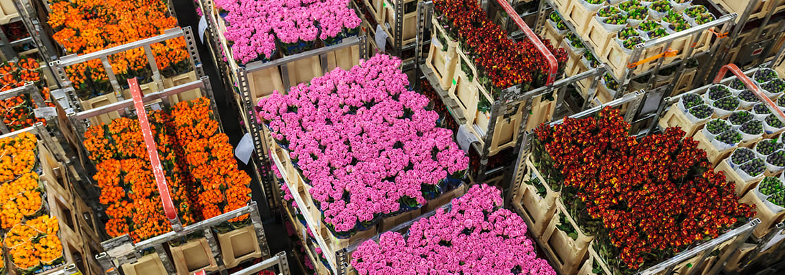 How is COVID-19 affecting our horticulture sectors?
