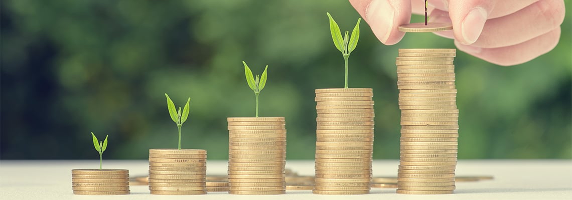 Help new investors find their way in horticulture