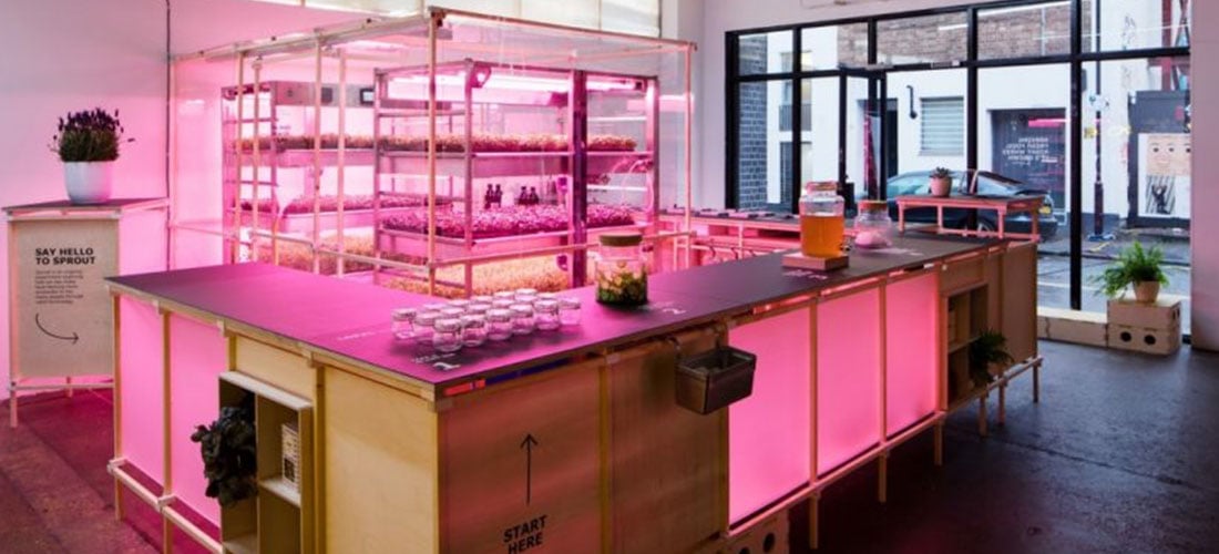 Will the next vertical farm come from an IKEA box?
